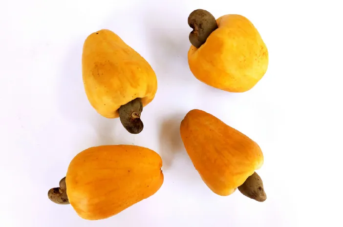 Khasiat Jambu Monyet untuk Apa? Ini Jawabannya