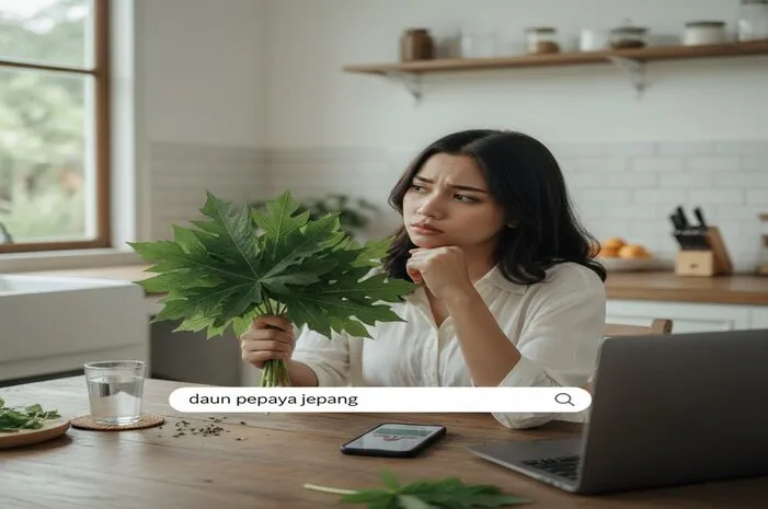 Daun Pepaya Jepang Berbahaya? Ini Fakta dan Cara Aman!