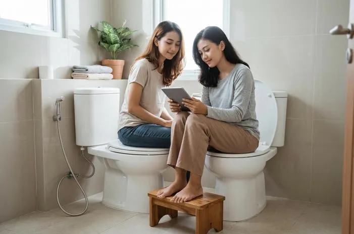 Cara Menggunakan Toilet Duduk Mudah dan Higienis