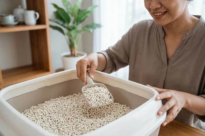 Pasir Kucing Tofu: Aman, Flushable, Bebas Bau!