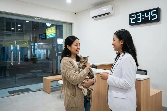 Klinik Hewan 24 Jam Terdekat? Ini Cara Mudah Mencari!