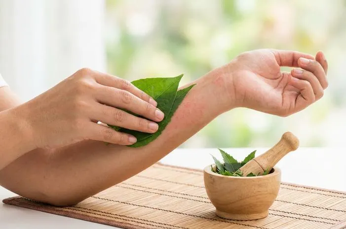 Daun Ampuh Redakan Gatal Kulit Akibat Jamur