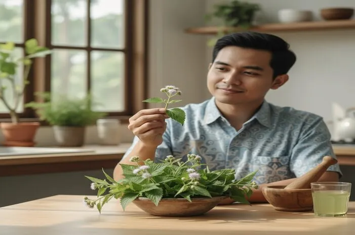 Manfaat Daun Bandotan: Dari Luka hingga Gula Darah