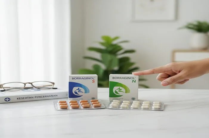 Perbedaan Borraginol S dan N: Jangan Sampai Salah Pilih