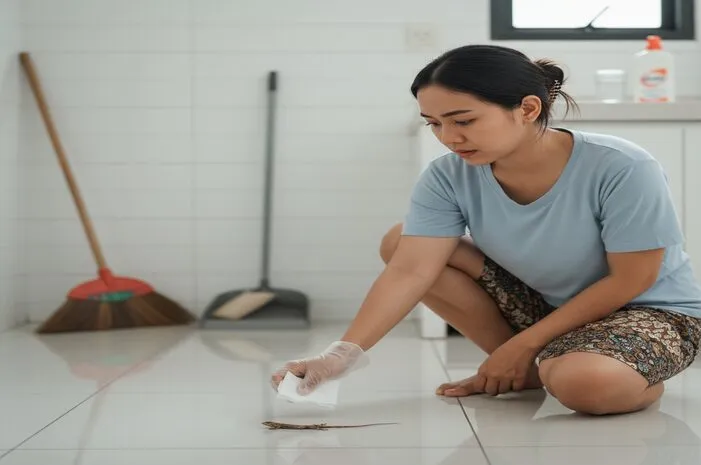 Menguak Arti Cicak Mati: Mitos, Pahala, dan Bahaya