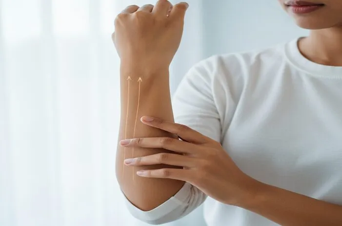 Integumen: Perisai Utama Tubuh, Yuk Kenali!