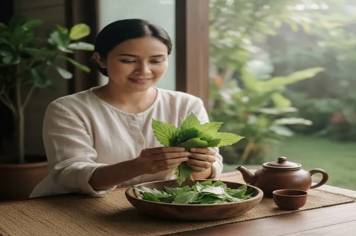 Ciri Ciri Daun Tempuyung: Kenali Ciri Khasnya