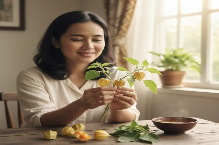 Daun Ciplukan untuk Obat Apa? Atasi Diabetes Hingga Rematik