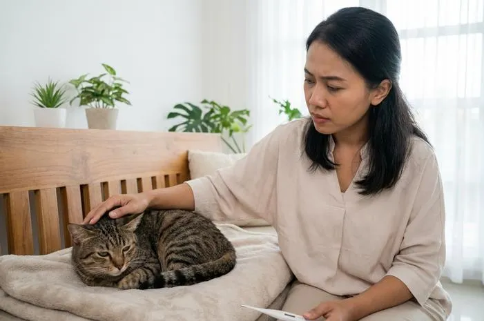 Waspada! Ciri Ciri Kucing Demam yang Wajib Kamu Tahu