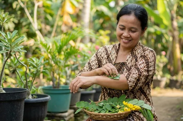 Manfaat Daun Ketepeng untuk Atasi Panu dan Gatal Kulit