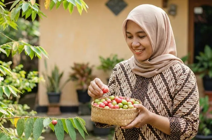 Manfaat Buah Kersen Ini Bikin Sehat Seluruh Tubuh!