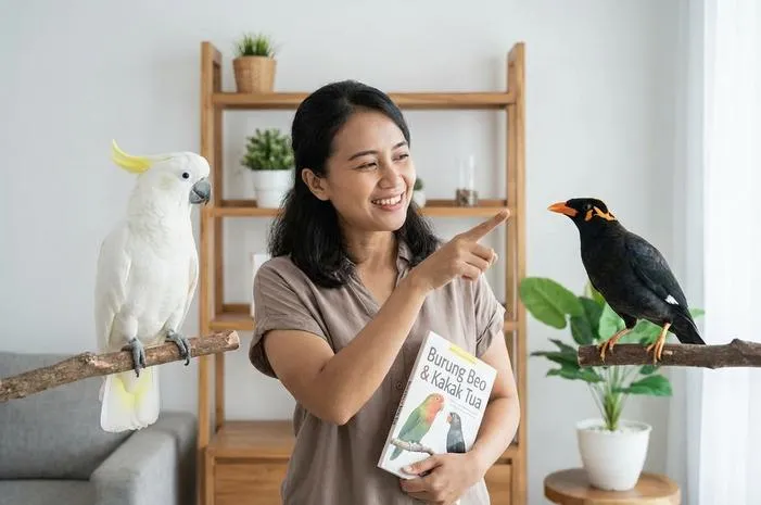 Apa Bedanya Burung Beo dan Kakak Tua? Yuk Cek!
