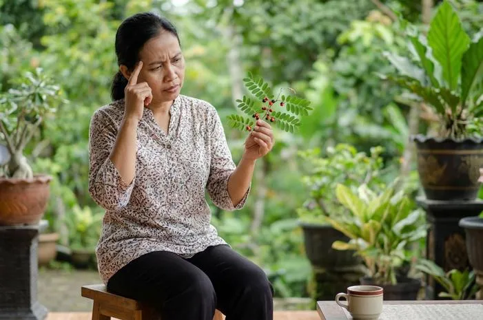 Waspada Bahaya Daun Saga: Efek Buruknya Tak Main-main