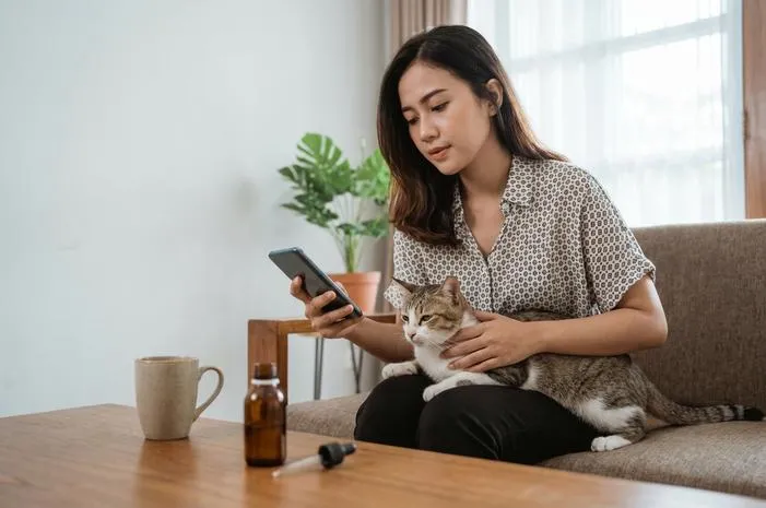 Kucing Mencret: Obat Aman, Ampuh, dan Gampang Dicari