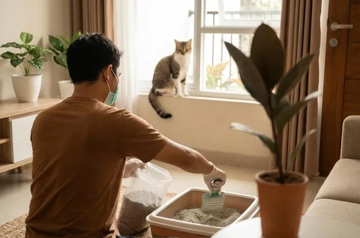 Apa yang Terjadi Jika Kena Tai Kucing? Ini Faktanya