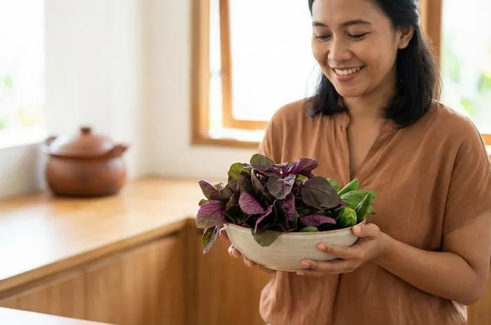 Manfaat Bayam Ungu Kaya Antioksidan dan Cara Menanamnya