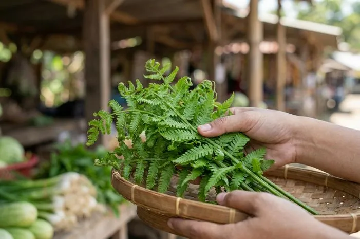 Daun Pakis yang Bisa Dimasak? Kenali Jenis dan Olahnya