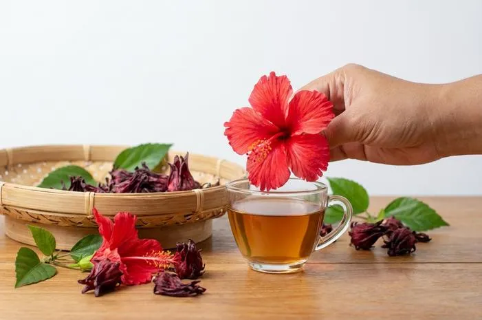 Pesona Hibiscus Flower: Cantik Kaya Manfaat Sehat