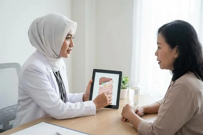 Vesica Fellea: Kantung Empedu, Fungsi, dan Gangguan