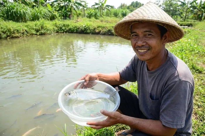 Ikan Bandeng Hidup di Air, Mampu Adaptasi Berbagai Kondisi