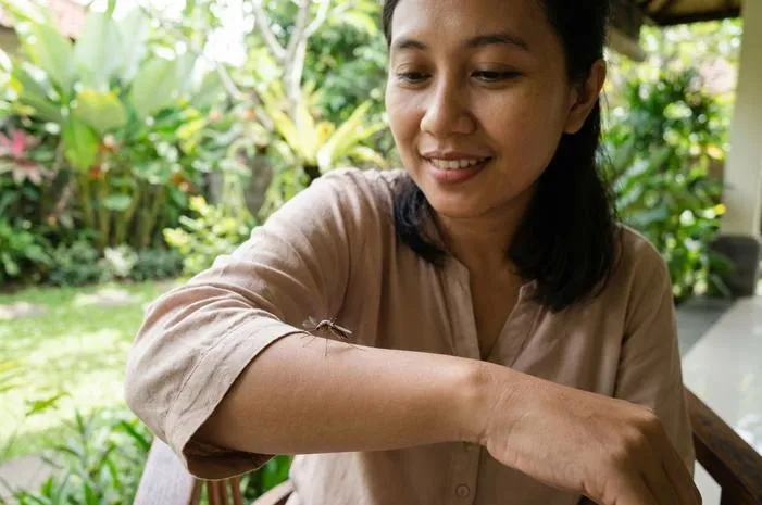 Nyamuk Jantan Baik Hati Tak Menggigit Manusia