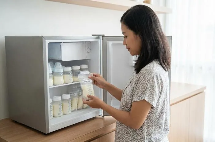 Pilih Kulkas ASI Tepat? Simpan ASIP Aman Tahan Lama!