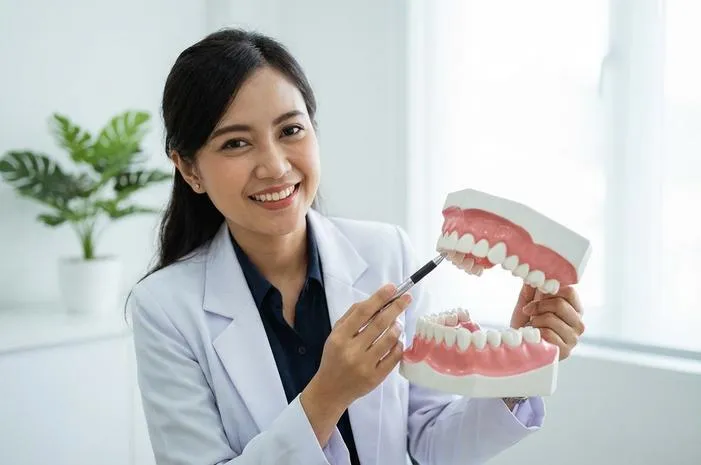 Jenis Jenis Gigi: Ada 4 Tipe Utama, Kenali Yuk!