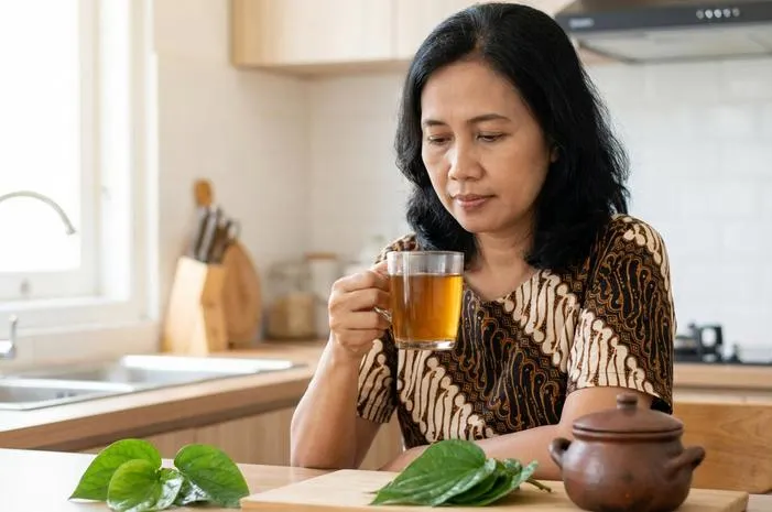 Pahami Aturan Minum Rebusan Daun Sirih, Jangan Keliru!