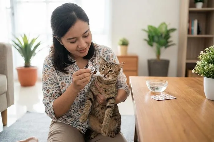 Obat Diare Kucing Manjur, Cepat Atasi Mencret Kucingmu