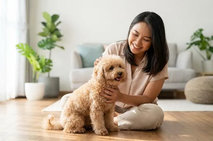 Anjing Ras Kecil: Teman Mungil, Mudah Dirawat, Penuh Cinta