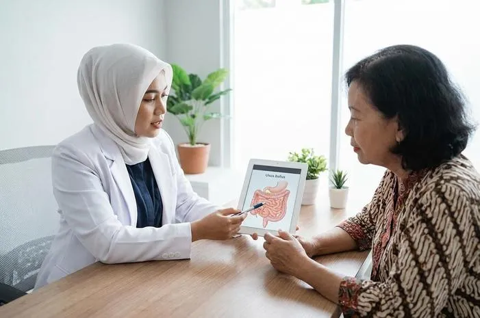 Kupas Tuntas Anatomi Usus Halus: Fungsi dan Bagiannya