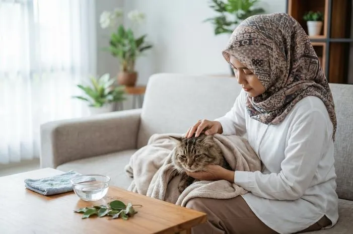 Obat Kucing Demam Secara Alami: Turun Panas Cepat!