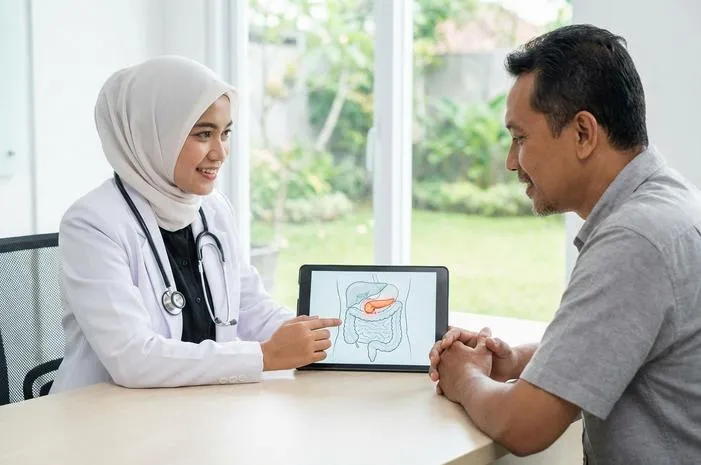 Pankreas Fungsinya: Pencernaan Lancar Gula Darah Stabil