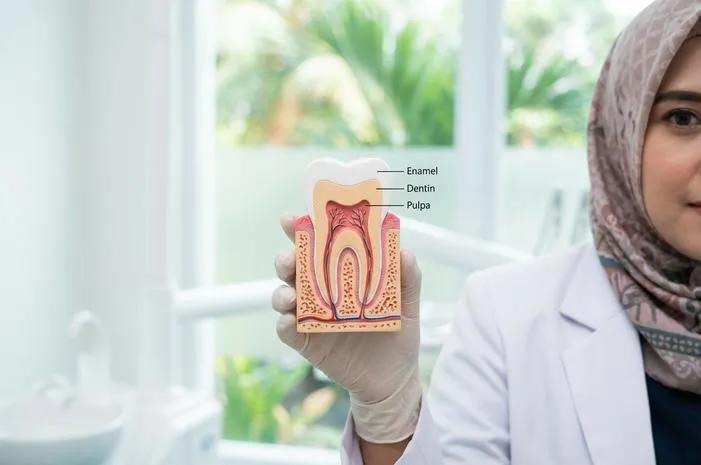 Bagian Bagian Gigi: Yuk Kenali Lebih Dekat