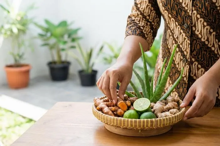 Yuk, Punya Tanaman Apotek Hidup untuk Obat Sehari-hari