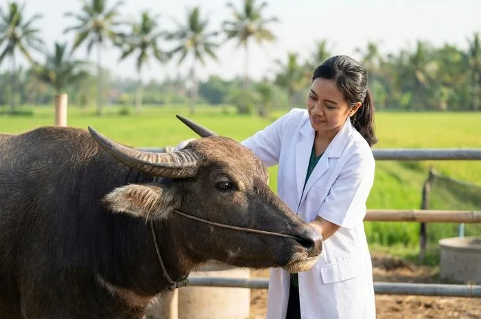 Kebo: Pahami Makna Unik Kumpul Kebo dan Hamil Kebo