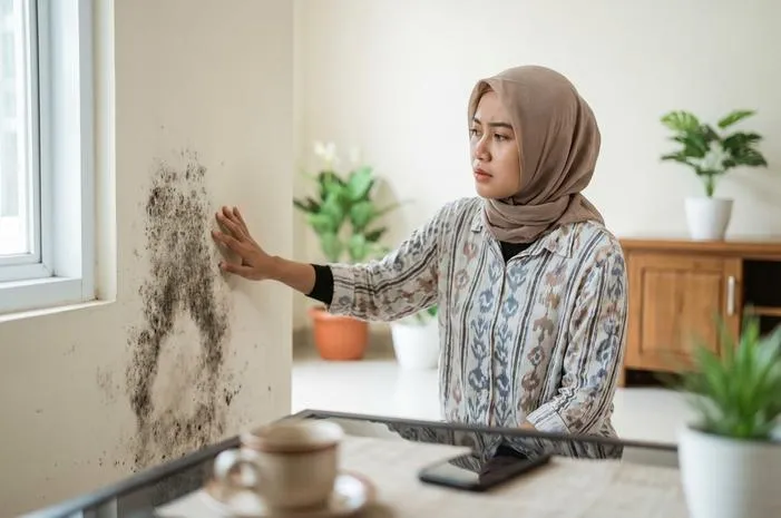 Atasi Dinding Berjamur: Rumah Bersih, Sehat Tanpa Ribet!