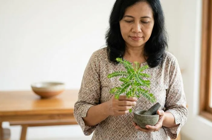 Meniran Obat Apa? Khasiatnya Bikin Tubuh Sehat Selalu