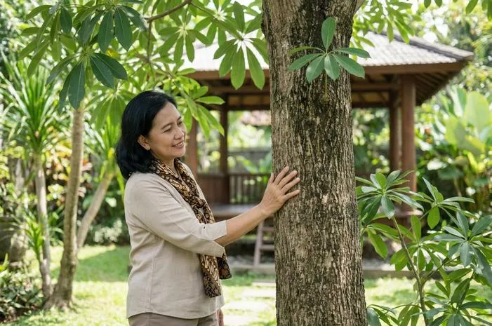 Gak Nyangka! Manfaat Pohon Pule Luar Biasa