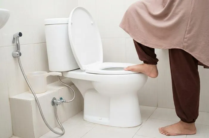 Cara Menggunakan Toilet Duduk: Jangan Salah Lagi!