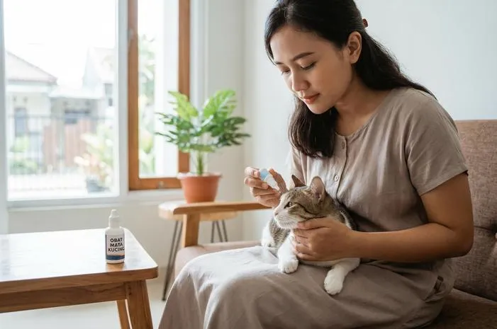 Obat Mata untuk Kucing: Atasi Sakit Mata Si Anabul