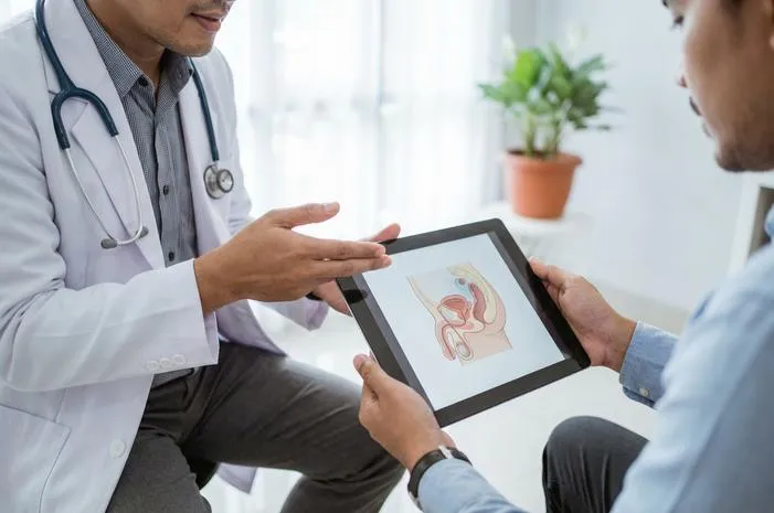 Pahami Pangkal Penis: Bagian Tak Terlihat Kunci Ereksi