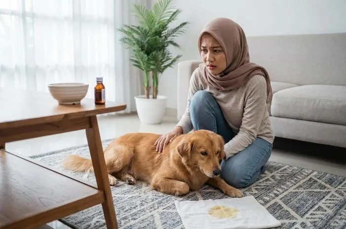 Anjing Muntah Kuning: Perut Kosong atau Tanda Bahaya?