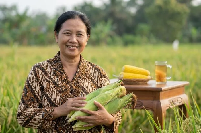 Manfaat Tanaman Jagung: Sehat, Energi, Industri Serbaguna
