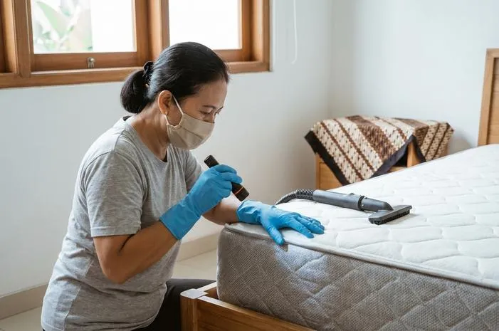 Mudah! Cara Basmi Kutu Kasur Cuma 5 Langkah