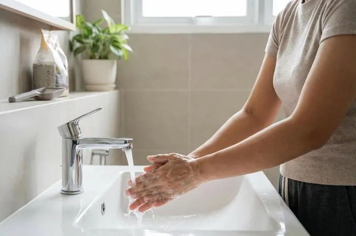 Kotoran Kucing Sehat: Ciri, Bahaya, dan Bersihkan