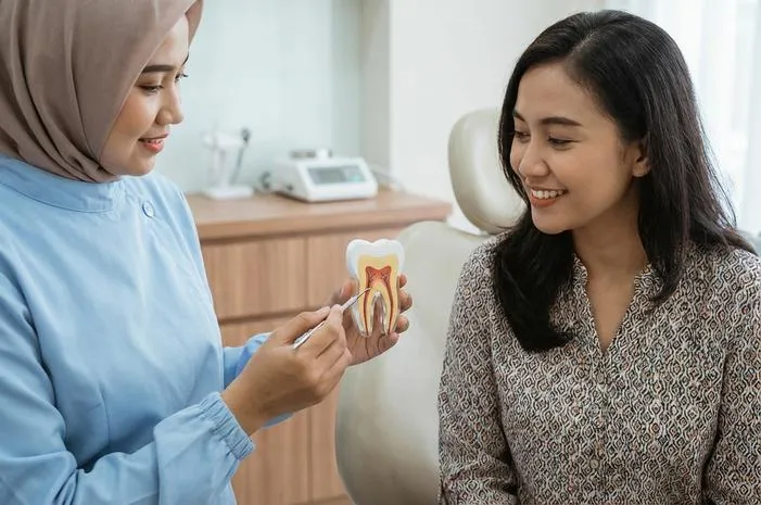Rahasia Gigi Kuat: Pahami 4 Lapisan Gigi Ini