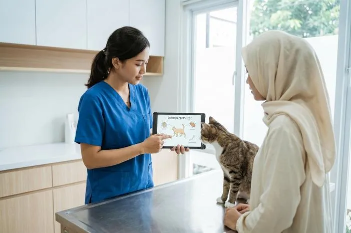 Jenis Cacing Pada Kucing: Kenali dan Lindungi Anabul