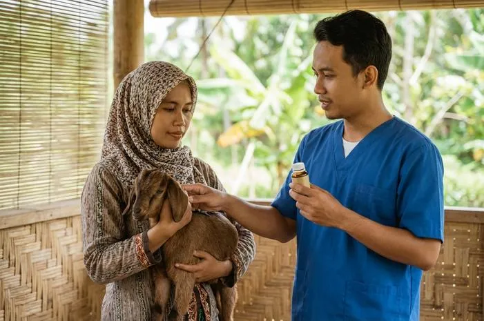 Obat Kambing Mencret Ampuh Ini Bikin Kambing Sehat Lagi