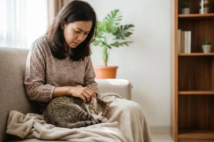 Kucing Tidur Terus: Normal, Tapi Cek Dulu Gejala Ini